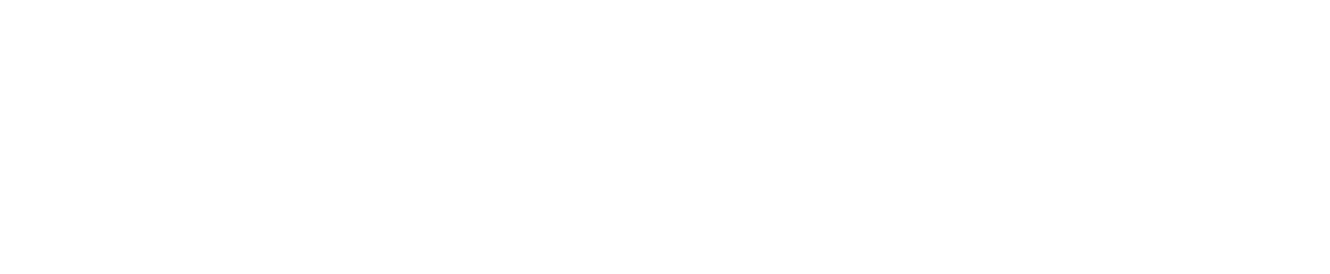 Intelligent Venice