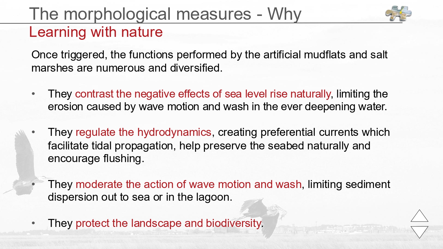 Laguna regolata JPG_page-0029