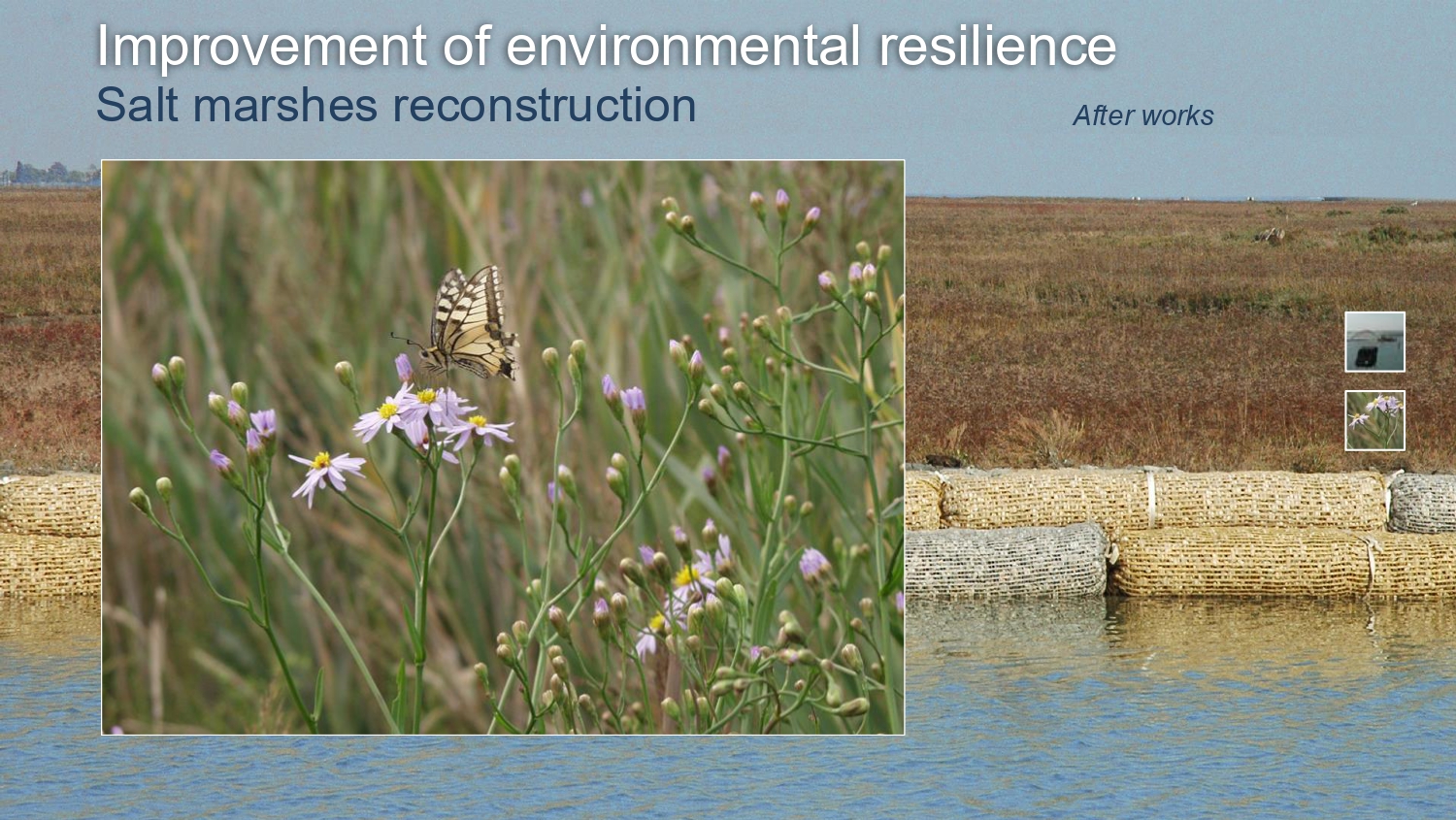 Laguna regolata JPG_page-0032