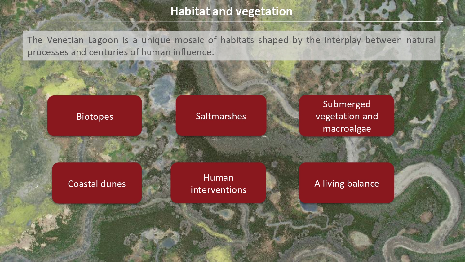 Natura antropizzata JPG_page-0002