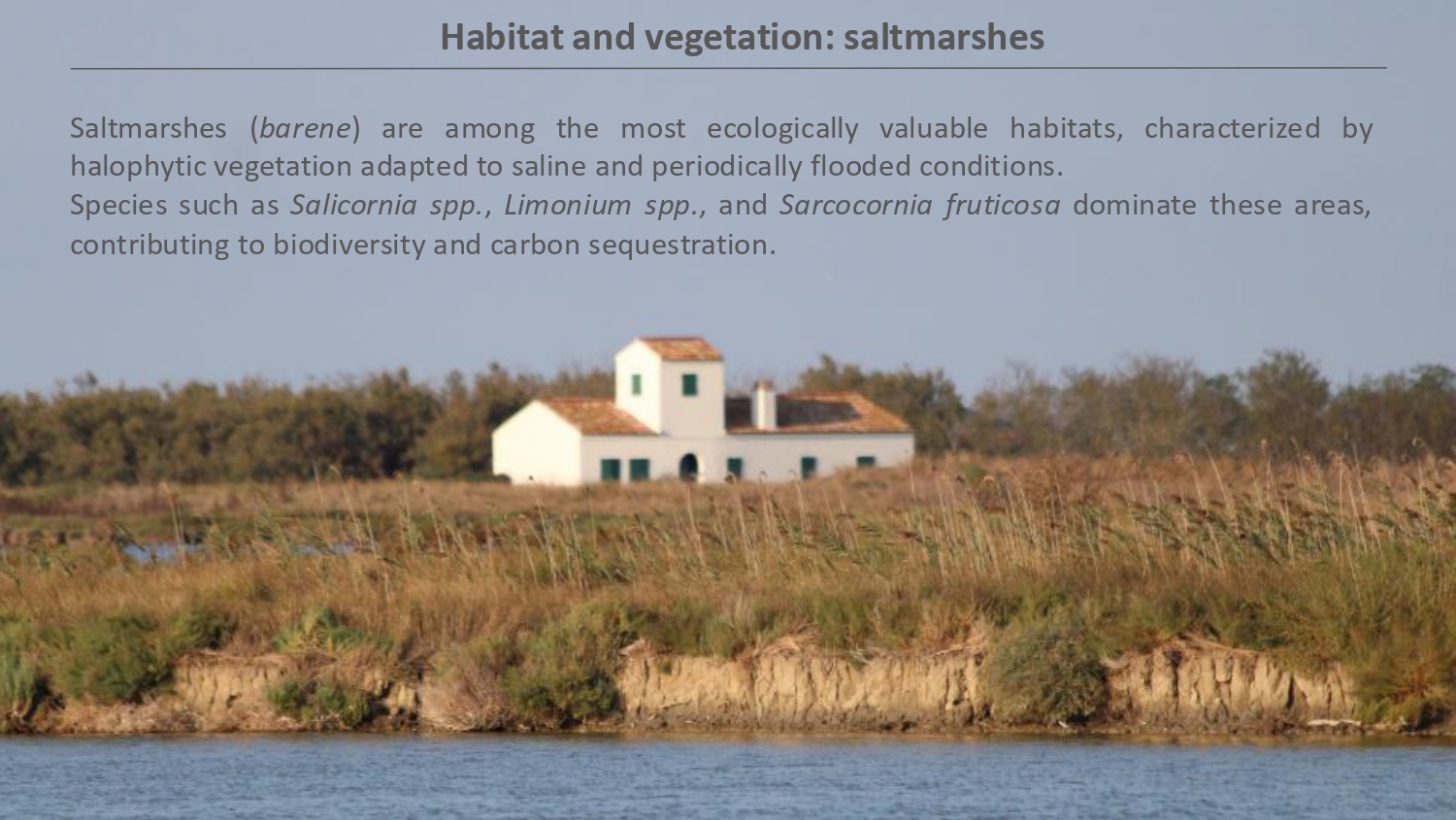 Natura antropizzata JPG_page-0004