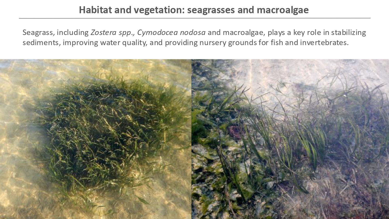 Natura antropizzata JPG_page-0005