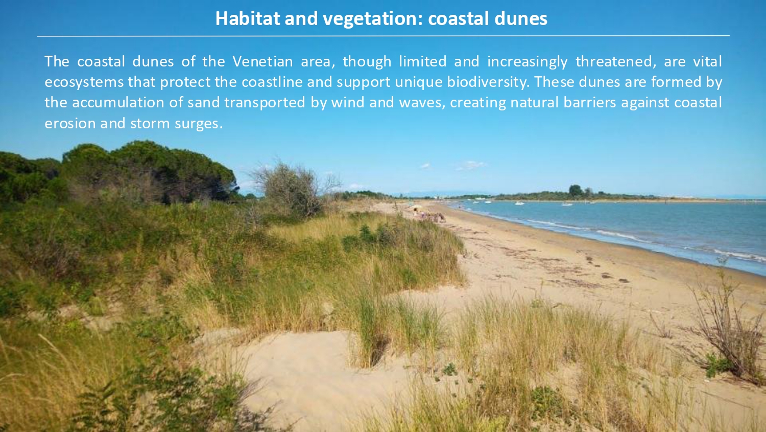 Natura antropizzata JPG_page-0006