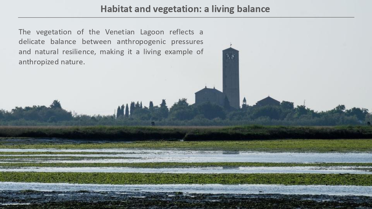 Natura antropizzata JPG_page-0008