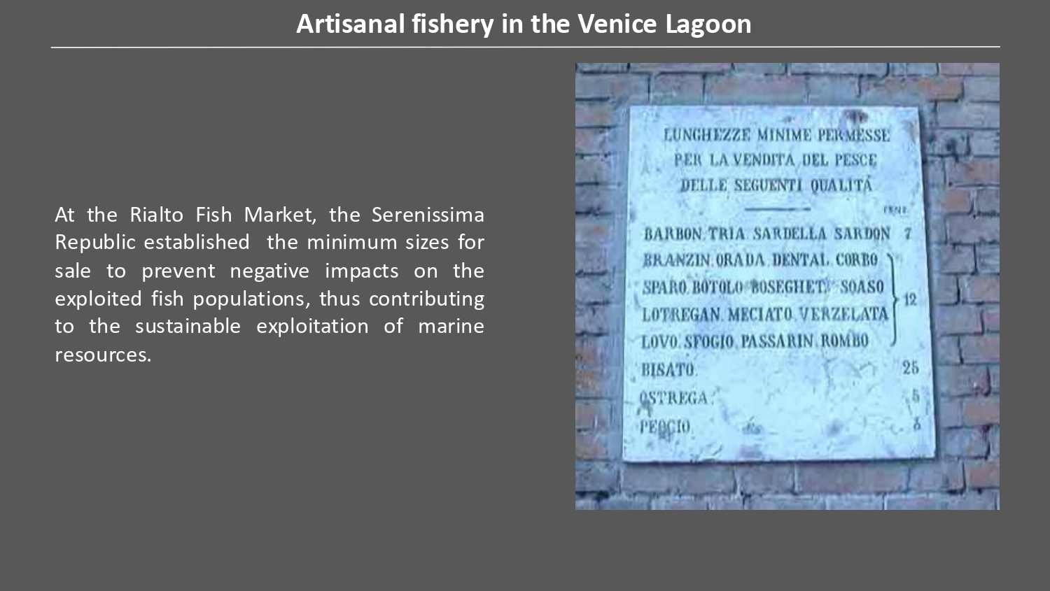 Natura antropizzata JPG_page-0011