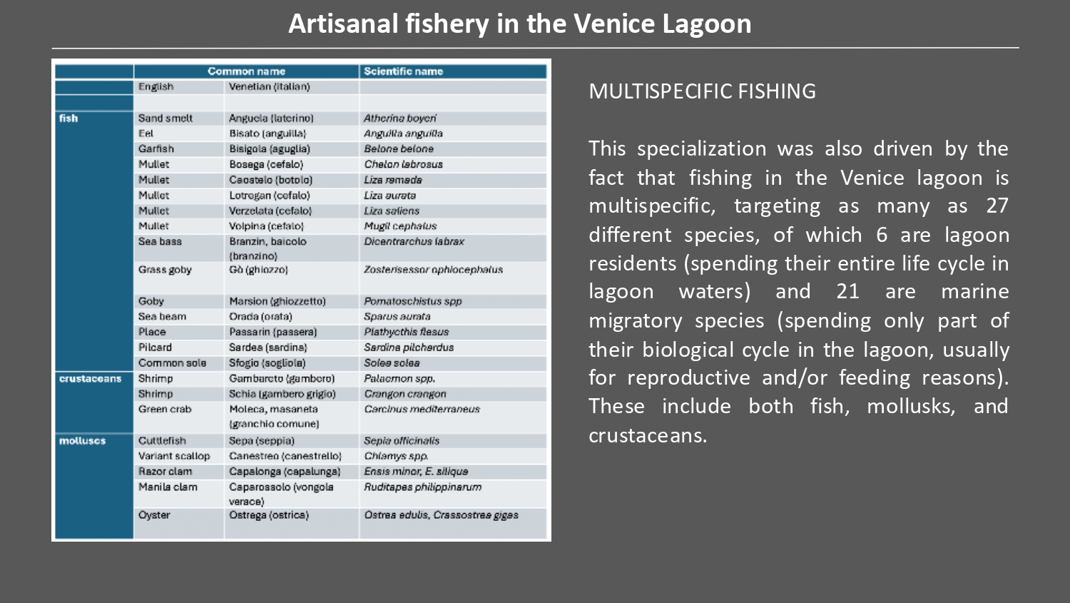 Natura antropizzata JPG_page-0013