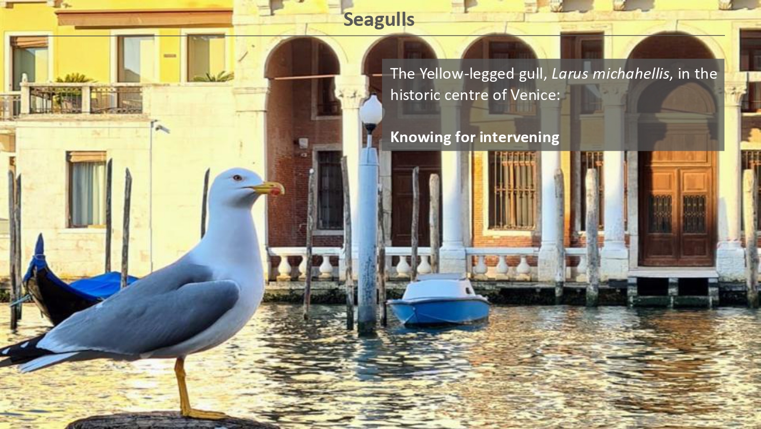 Natura antropizzata JPG_page-0042