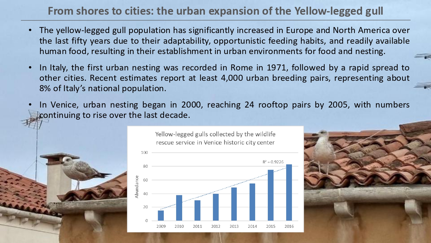 Natura antropizzata JPG_page-0043