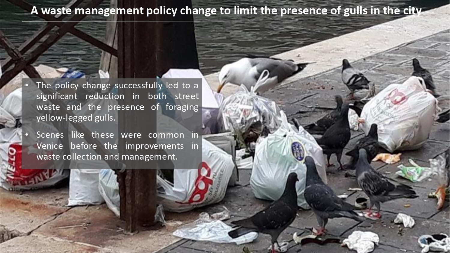 Natura antropizzata JPG_page-0046