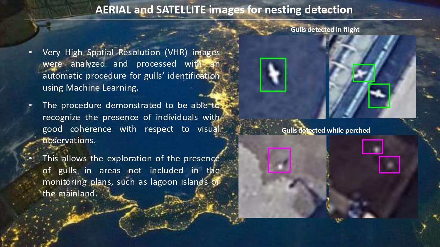 Natura antropizzata JPG_page-0049