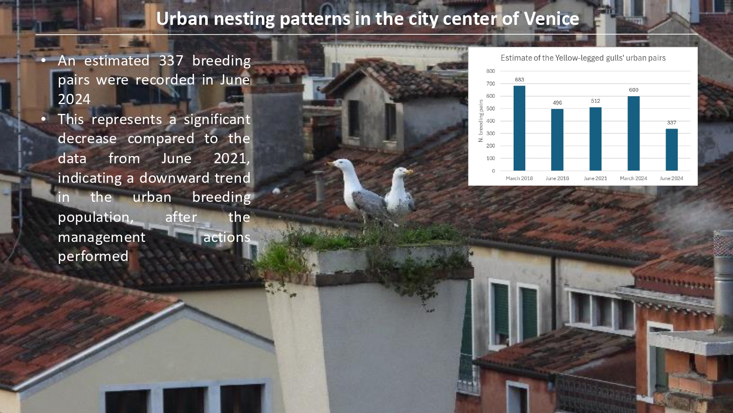 Natura antropizzata JPG_page-0052