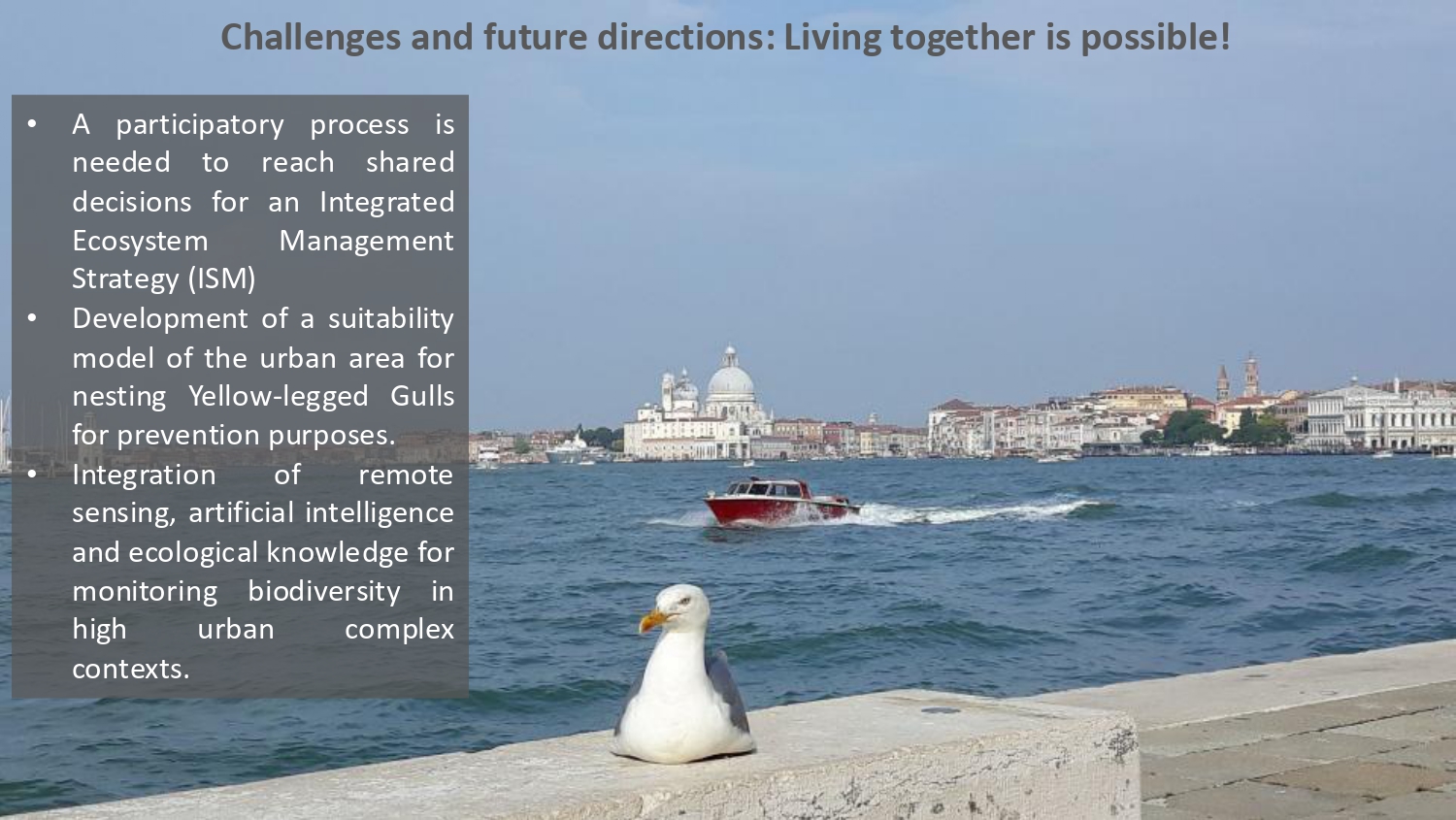 Natura antropizzata JPG_page-0053