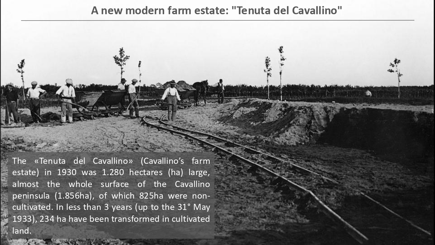 Natura antropizzata JPG_page-0062