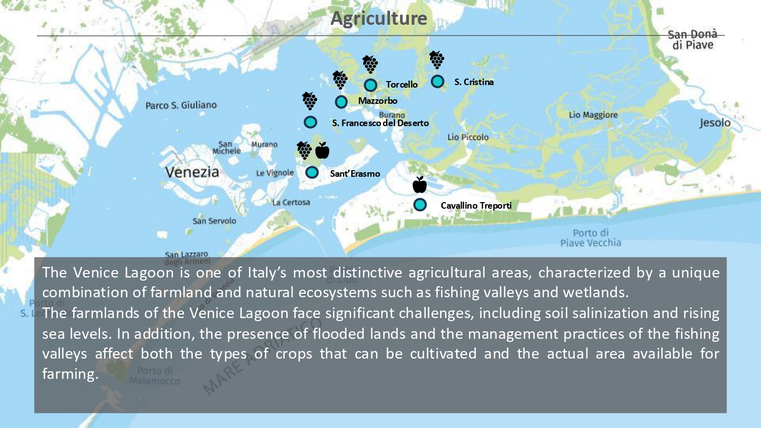 Natura antropizzata JPG_page-0066