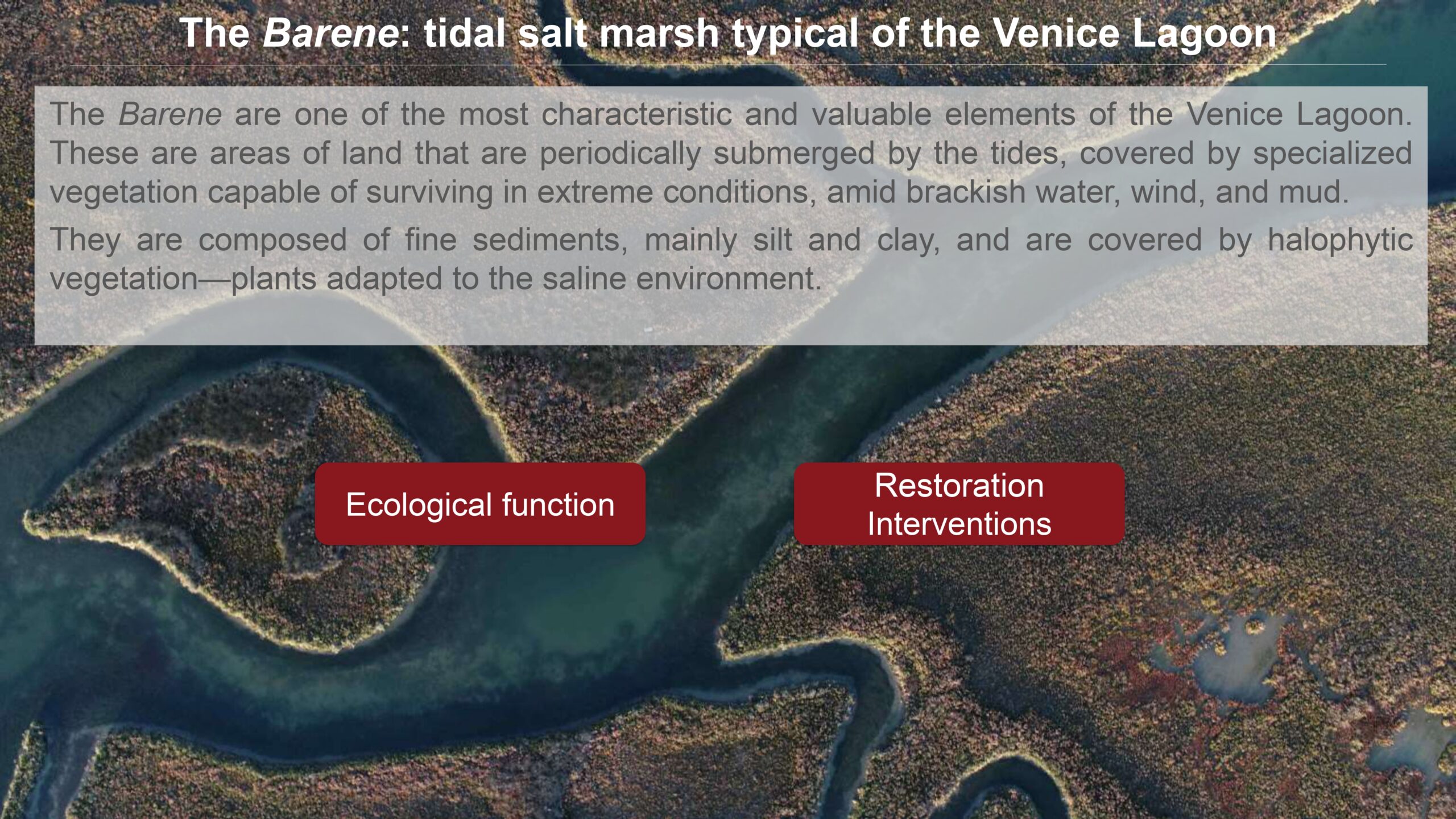 Venice-and-its-Lagoon-lr-1 (1)_page-0041