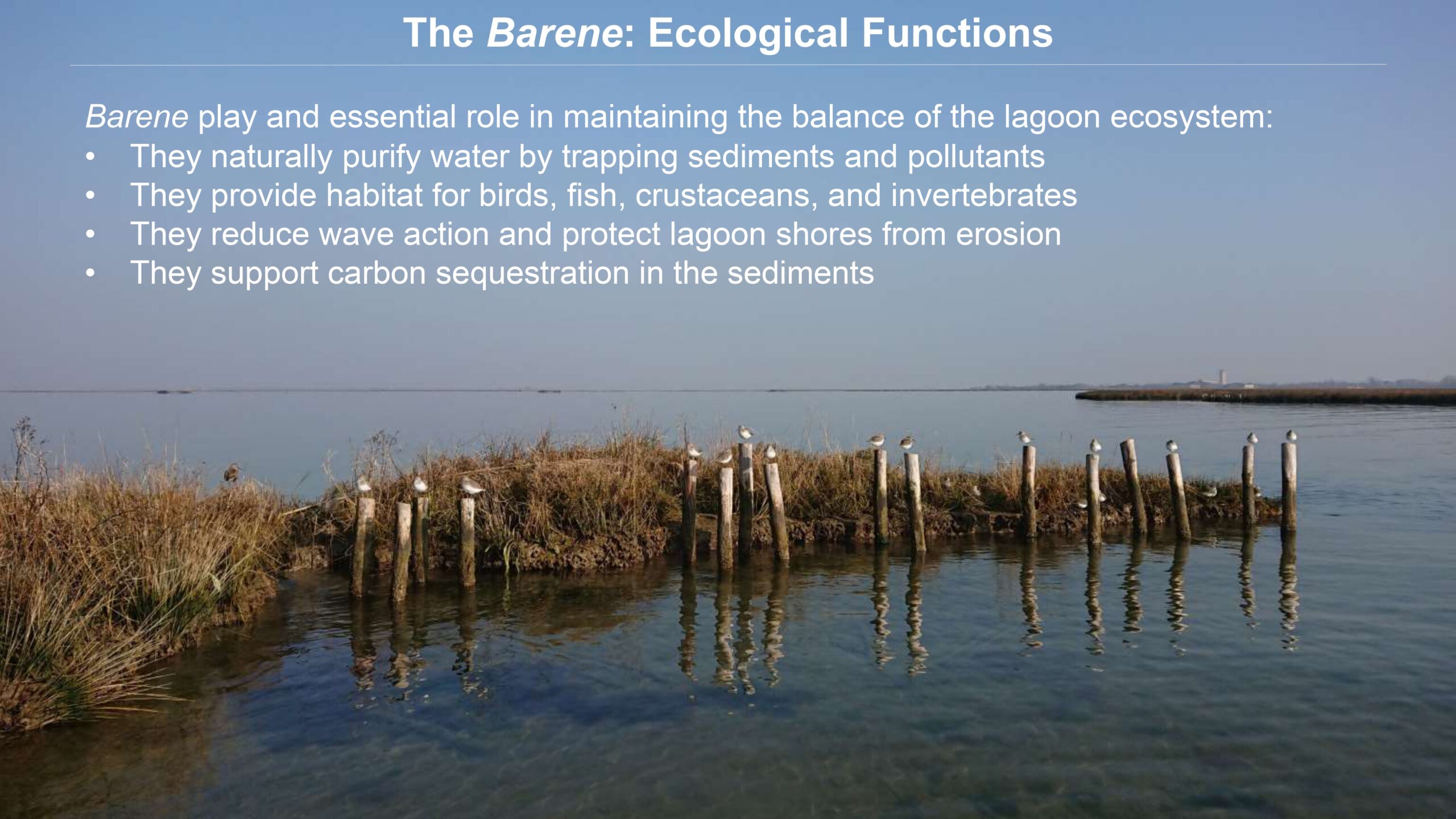 Venice-and-its-Lagoon-lr-1 (1)_page-0042