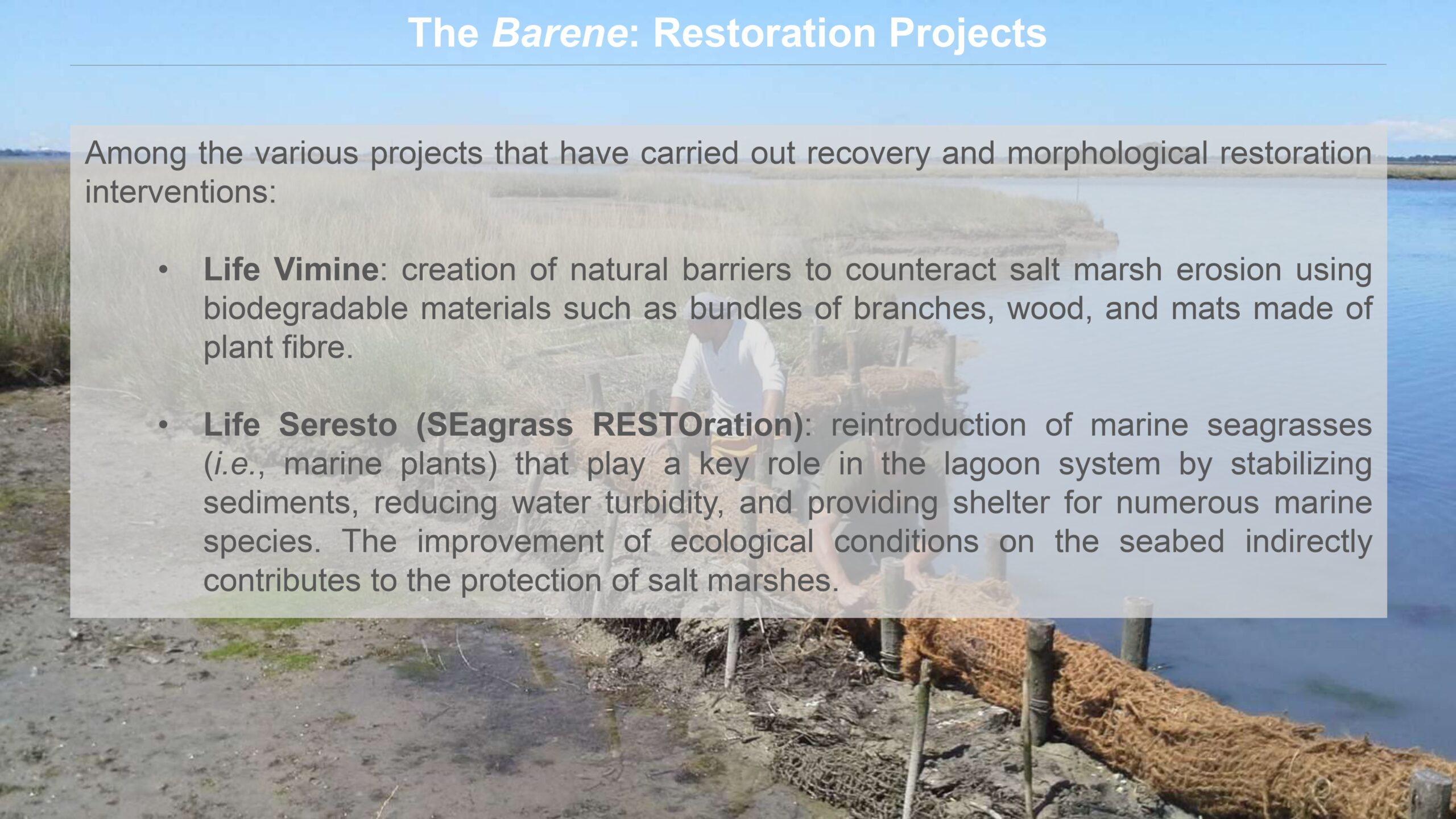 Venice-and-its-Lagoon-lr-1 (1)_page-0045