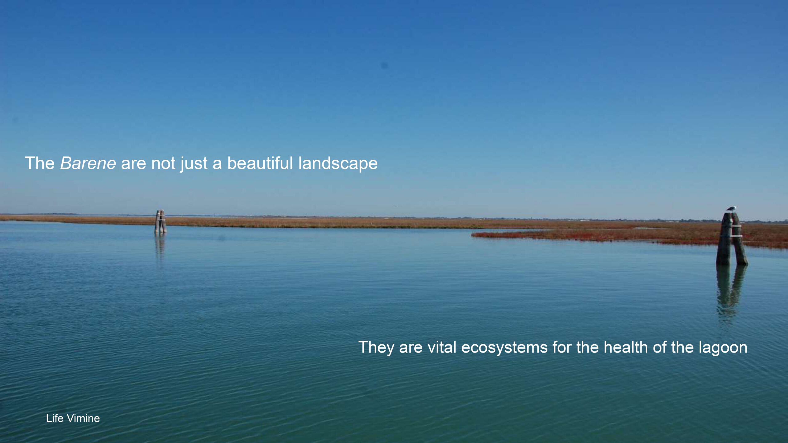 Venice-and-its-Lagoon-lr-1 (1)_page-0049