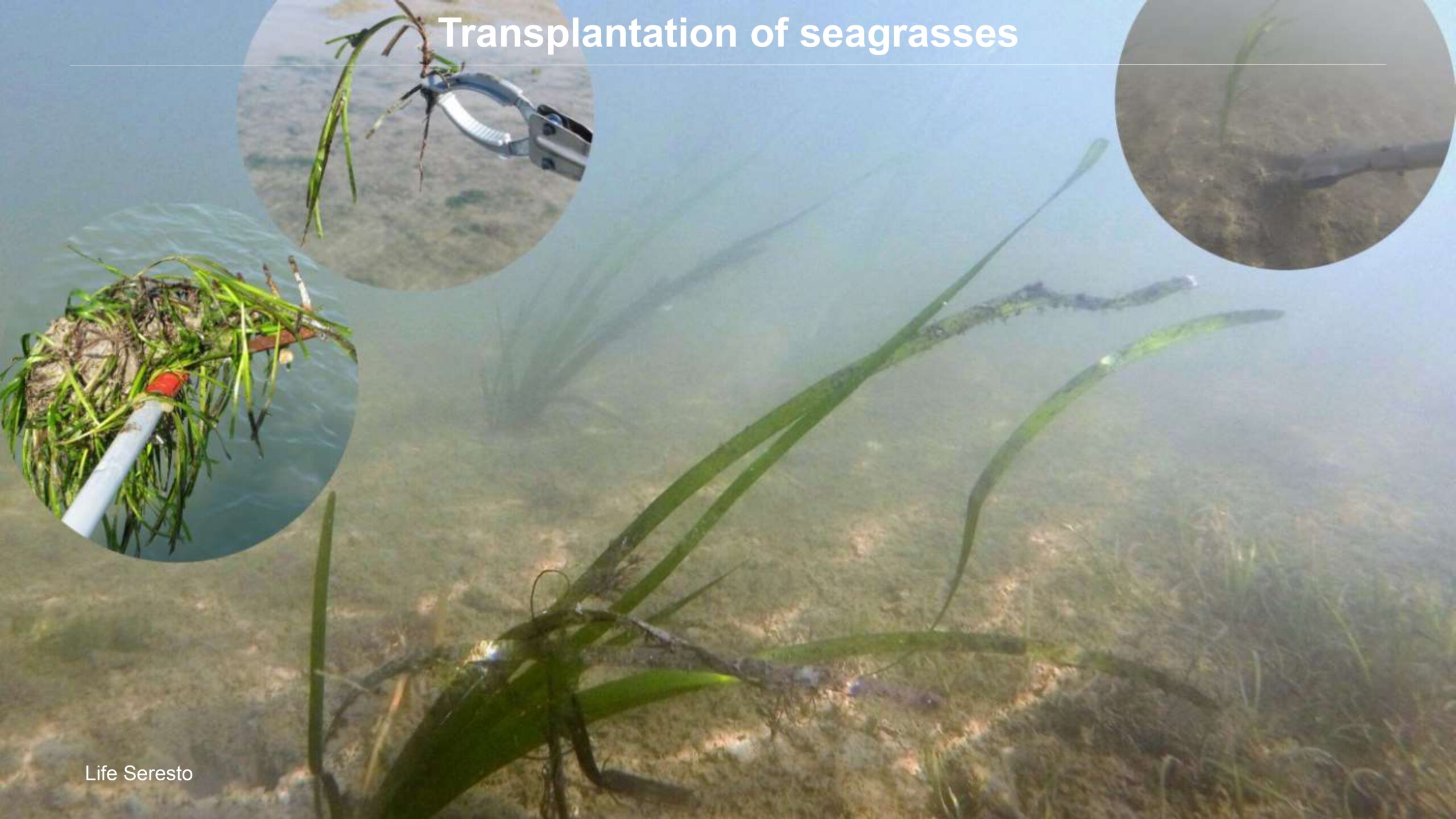 Venice-and-its-Lagoon-lr-1 (1)_page-0050