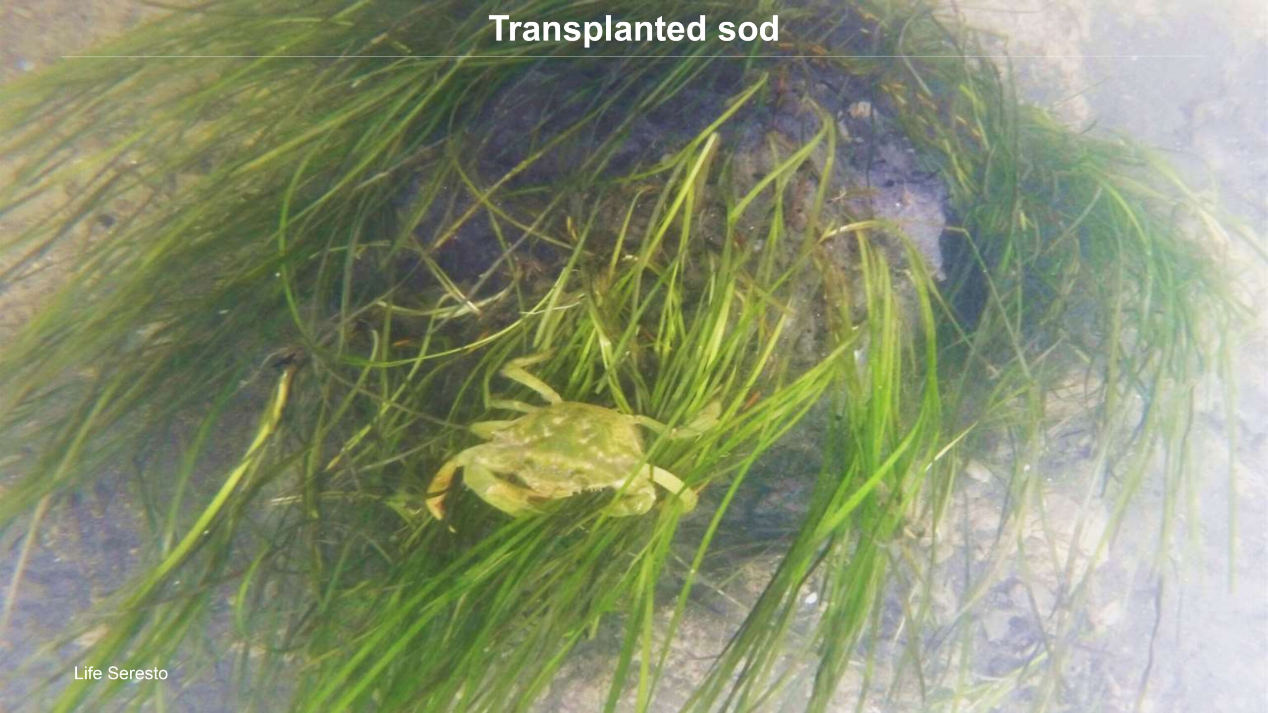 Venice-and-its-Lagoon-lr-1 (1)_page-0051