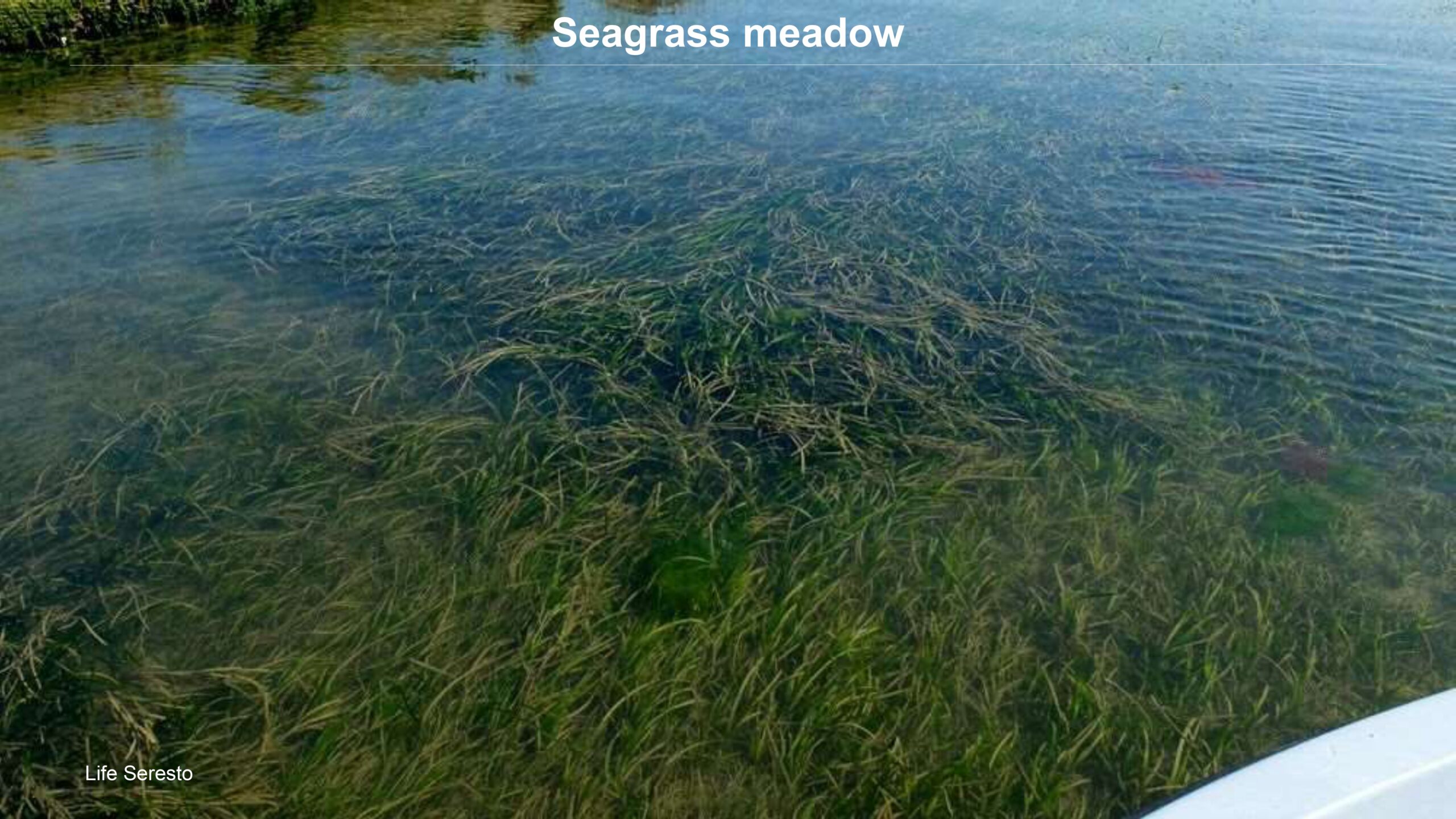 Venice-and-its-Lagoon-lr-1 (1)_page-0052